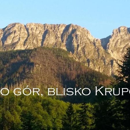 Willa Otulina Pod Giewontem Закопане Екстериор снимка