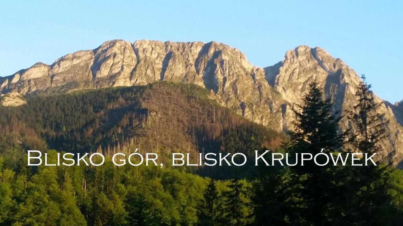 Willa Otulina Pod Giewontem Закопане Екстериор снимка
